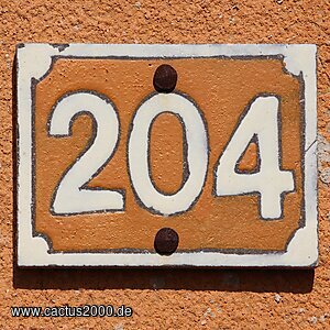 204